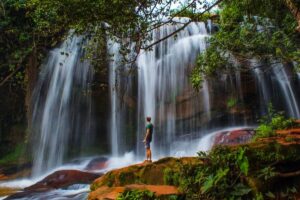 Conexão Cerrado Um Roteiro Para Qualquer Época do Ano