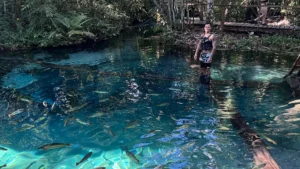 Roteiros Imperdíveis em Nobres: Mergulhe na Natureza